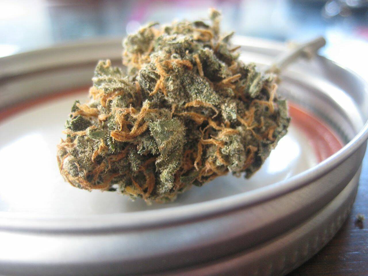Right THCA Strain
